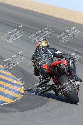 media/Feb-04-2023-SoCal Trackdays (Sat) [[8a776bf2c3]]/Turn 10 Backside (1010am)/